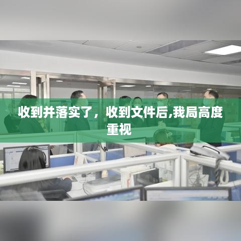 收到并落实了，收到文件后,我局高度重视 