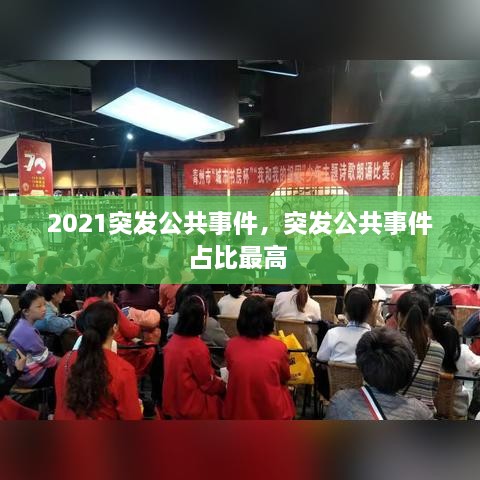 2021突发公共事件，突发公共事件占比最高 