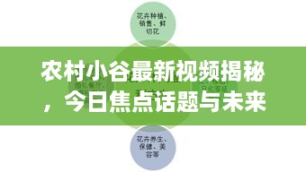 农村小谷最新视频揭秘，今日焦点话题与未来展望