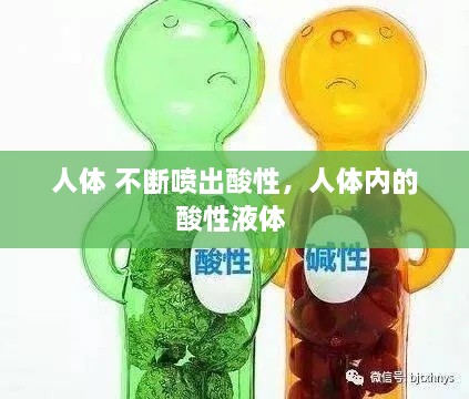 人体 不断喷出酸性，人体内的酸性液体 