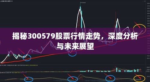 揭秘300579股票行情走势，深度分析与未来展望