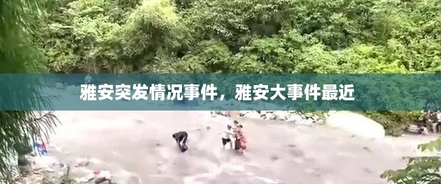 雅安突发情况事件，雅安大事件最近 