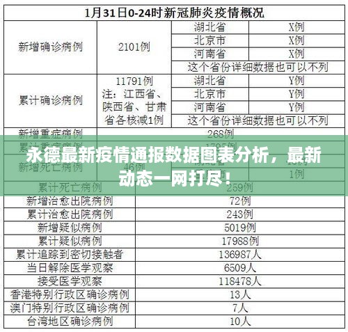 永德最新疫情通报数据图表分析，最新动态一网打尽！