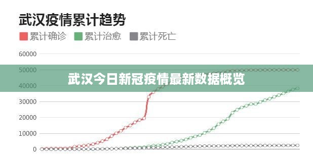 武汉今日新冠疫情最新数据概览