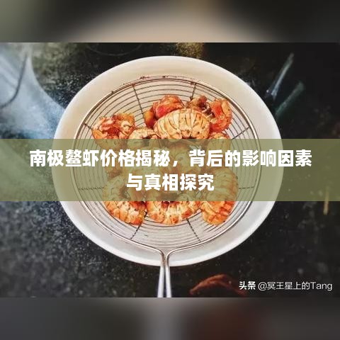 南极鳌虾价格揭秘，背后的影响因素与真相探究