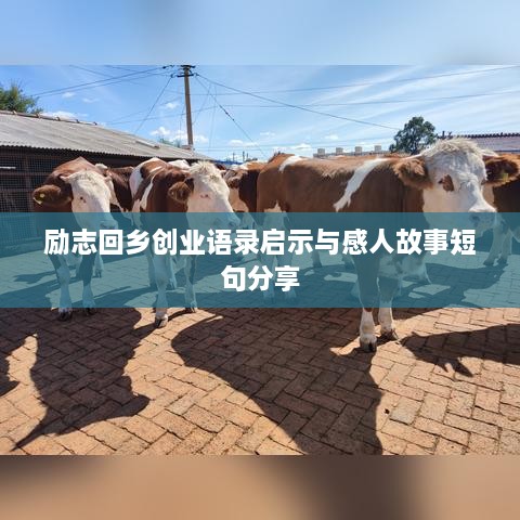 励志回乡创业语录启示与感人故事短句分享