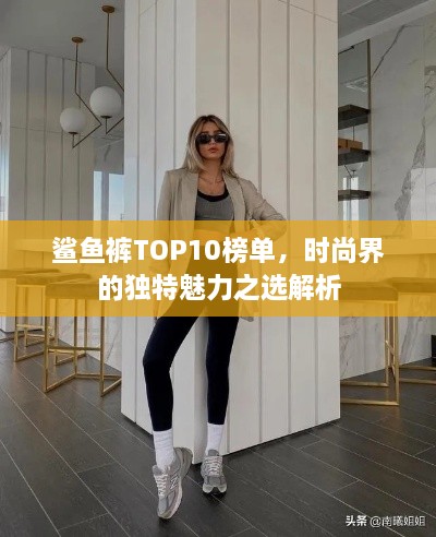 鲨鱼裤TOP10榜单，时尚界的独特魅力之选解析