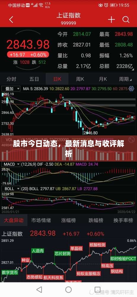 股市今日动态，最新消息与收评解析