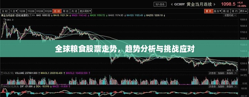 全球粮食股票走势，趋势分析与挑战应对