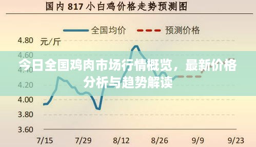 今日全国鸡肉市场行情概览，最新价格分析与趋势解读