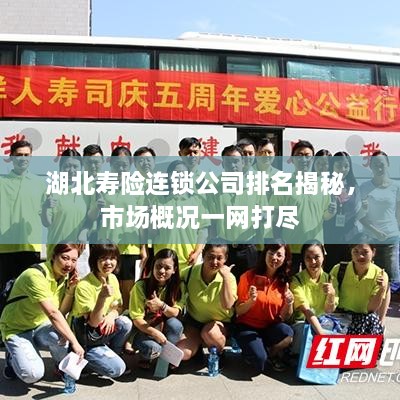 湖北寿险连锁公司排名揭秘，市场概况一网打尽