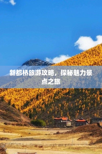 新都桥旅游攻略，探秘魅力景点之旅