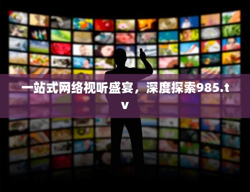 一站式网络视听盛宴，深度探索985.tv