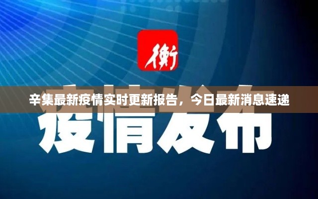 辛集最新疫情实时更新报告，今日最新消息速递