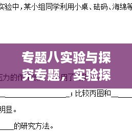 专题八实验与探究专题，实验探究专题训练 