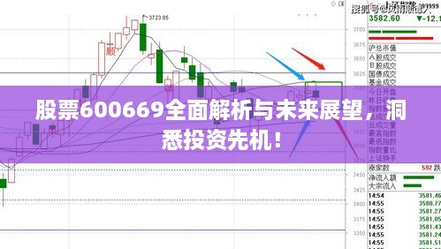 股票600669全面解析与未来展望，洞悉投资先机！