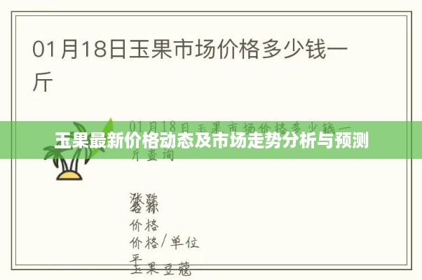 玉果最新价格动态及市场走势分析与预测