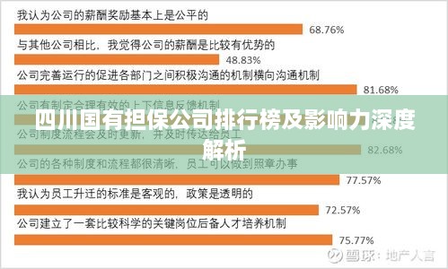 四川国有担保公司排行榜及影响力深度解析