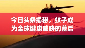 今日头条揭秘，蚊子成为全球健康威胁的幕后黑手