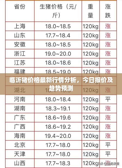 临沂猪价格最新行情分析，今日报价及趋势预测