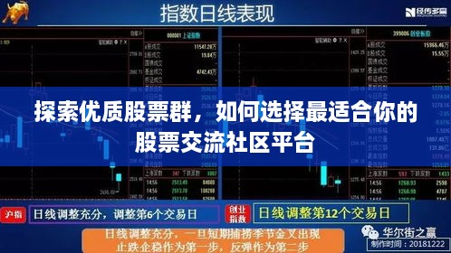 探索优质股票群，如何选择最适合你的股票交流社区平台