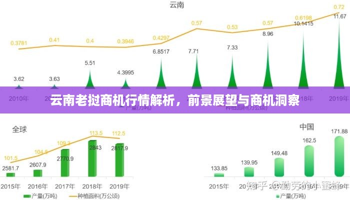 云南老挝商机行情解析，前景展望与商机洞察