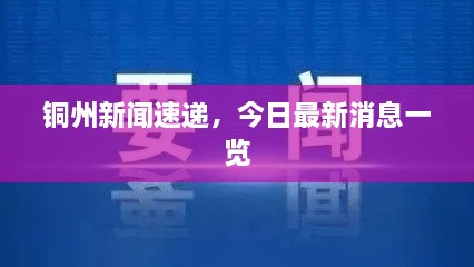 铜州新闻速递，今日最新消息一览