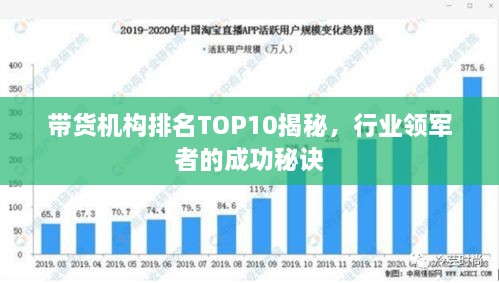 带货机构排名TOP10揭秘，行业领军者的成功秘诀