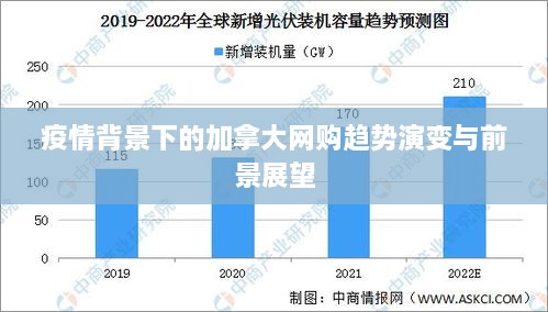 疫情背景下的加拿大网购趋势演变与前景展望