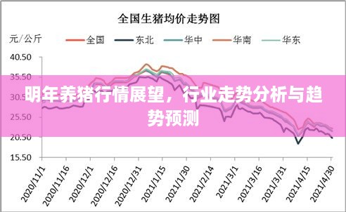 明年养猪行情展望，行业走势分析与趋势预测