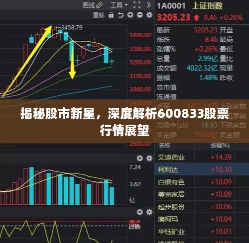 揭秘股市新星，深度解析600833股票行情展望