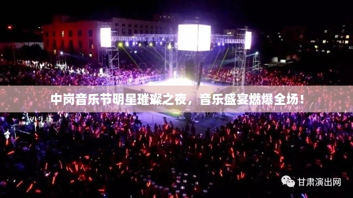 中岗音乐节明星璀璨之夜，音乐盛宴燃爆全场！