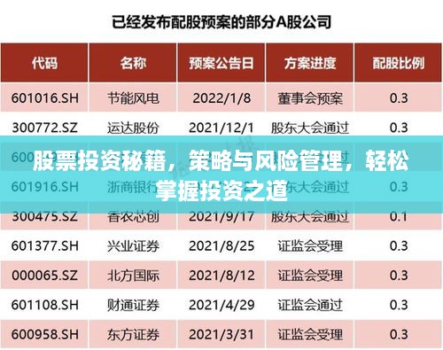 股票投资秘籍，策略与风险管理，轻松掌握投资之道