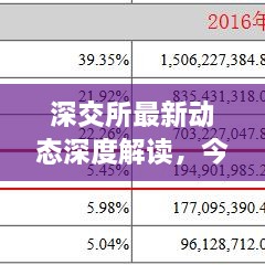 深交所最新动态深度解读，今日消息全解析