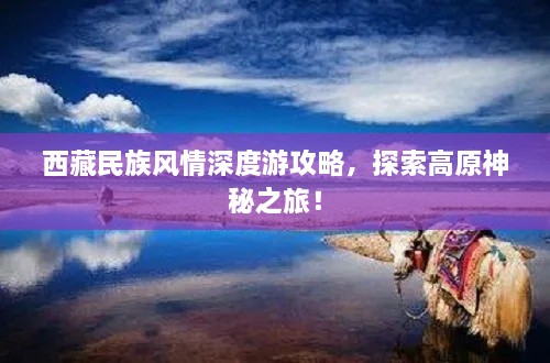 西藏民族风情深度游攻略，探索高原神秘之旅！