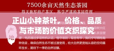 正山小种茶叶，价格、品质与市场的价值交织探究