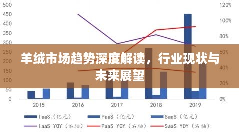 羊绒市场趋势深度解读，行业现状与未来展望