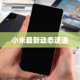 小米最新动态速递