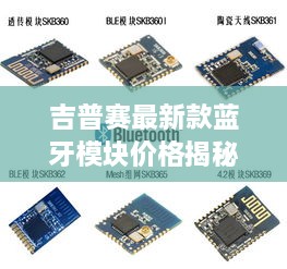 吉普赛最新款蓝牙模块价格揭秘