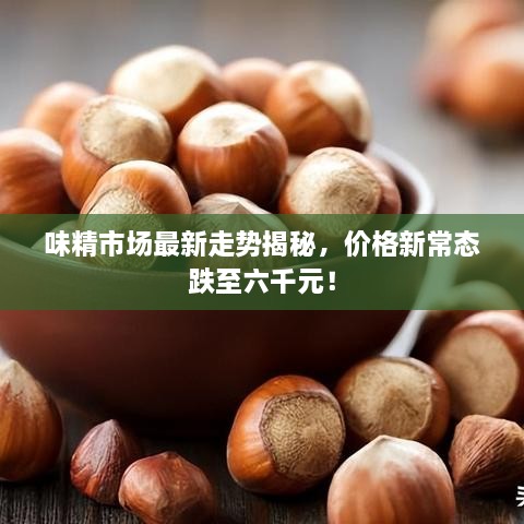 味精市场最新走势揭秘，价格新常态跌至六千元！