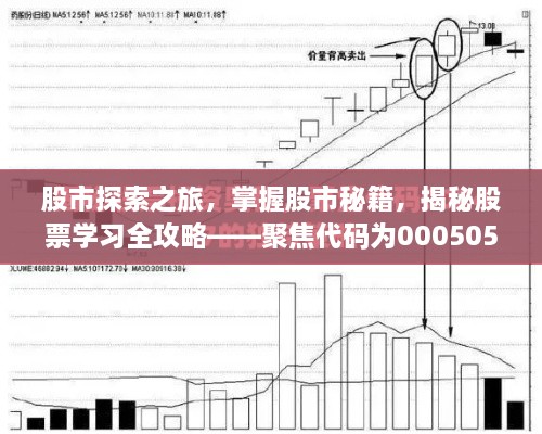 股市探索之旅，掌握股市秘籍，揭秘股票学习全攻略——聚焦代码为000505的股票