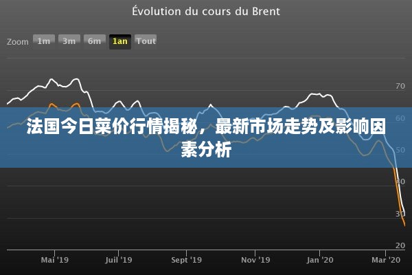 法国今日菜价行情揭秘，最新市场走势及影响因素分析