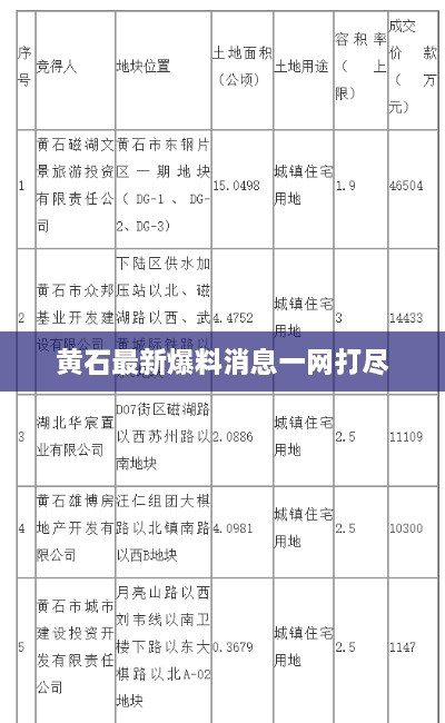 黄石最新爆料消息一网打尽