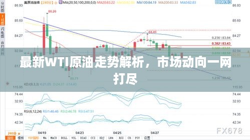 最新WTI原油走势解析，市场动向一网打尽