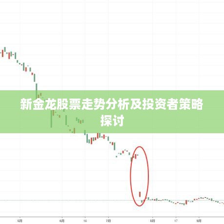 新金龙股票走势分析及投资者策略探讨