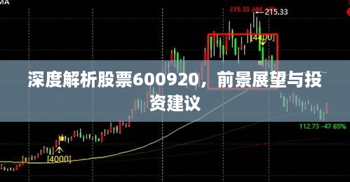 深度解析股票600920，前景展望与投资建议