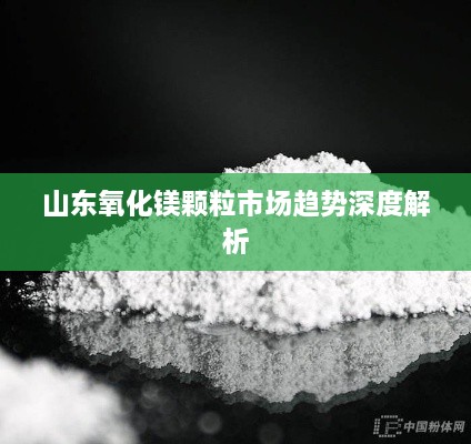 山东氧化镁颗粒市场趋势深度解析