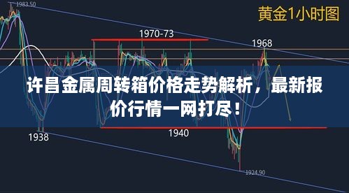 许昌金属周转箱价格走势解析，最新报价行情一网打尽！