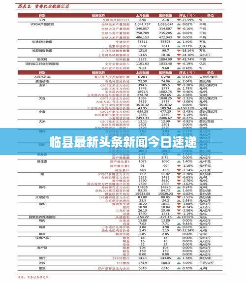 临县最新头条新闻今日速递