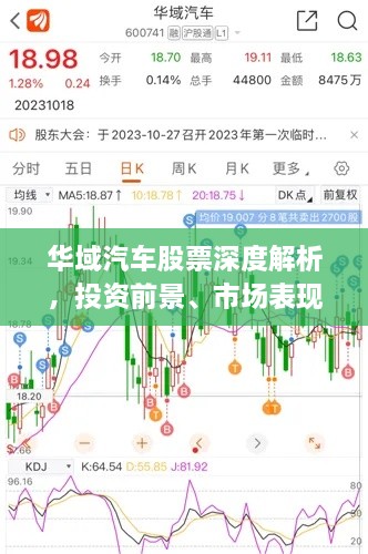 华域汽车股票深度解析，投资前景、市场表现一网打尽！